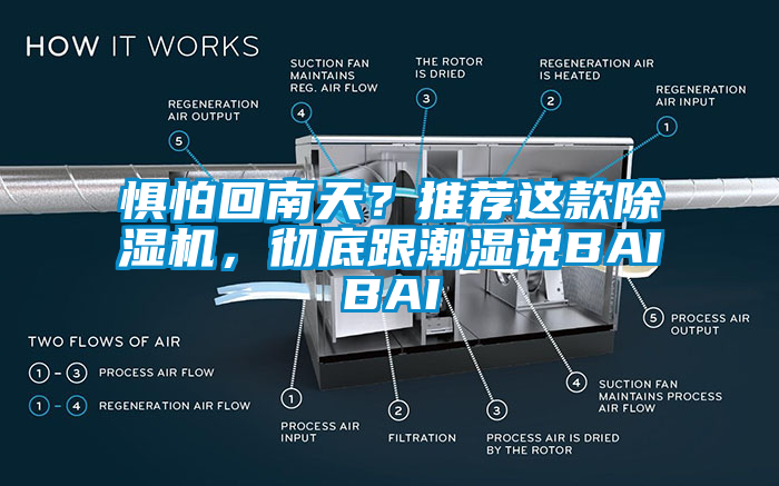 懼怕回南天？推薦這款除濕機(jī)，徹底跟潮濕說(shuō)BAIBAI