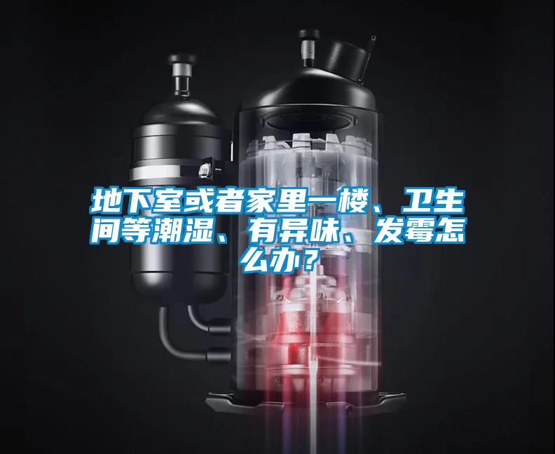 地下室或者家里一樓、衛生間等潮濕、有異味、發霉怎么辦？