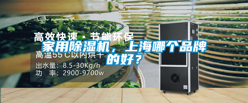 家用除濕機，上海哪個品牌的好？