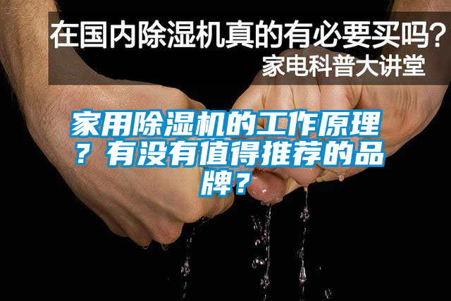 家用除濕機(jī)的工作原理？有沒有值得推薦的品牌？