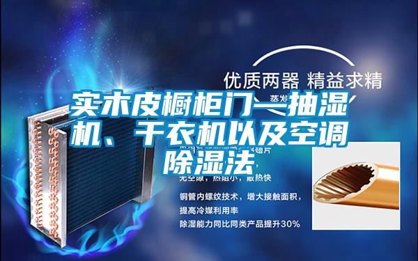 實木皮櫥柜門—抽濕機、干衣機以及空調除濕法
