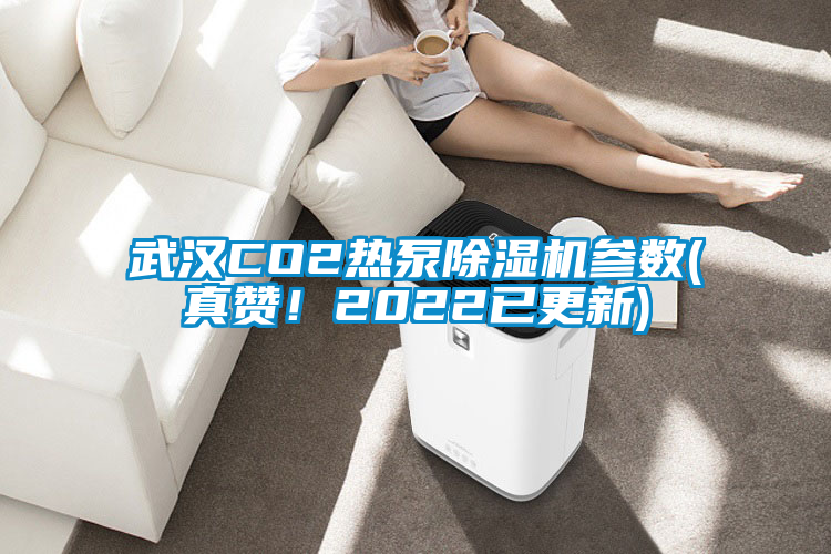 武漢CO2熱泵除濕機參數(真贊！2022已更新)