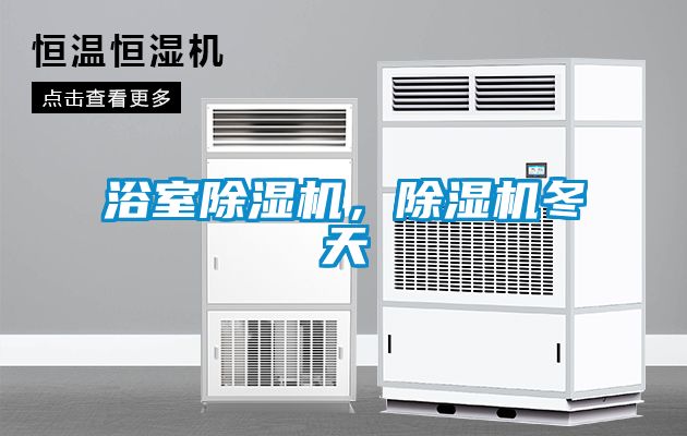 浴室除濕機(jī)，除濕機(jī)冬天