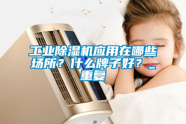 工業除濕機應用在哪些場所？什么牌子好？_重復