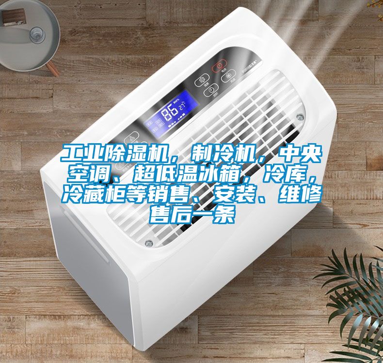 工業(yè)除濕機(jī)，制冷機(jī)，中央空調(diào)、超低溫冰箱，冷庫(kù)，冷藏柜等銷(xiāo)售、安裝、維修售后一條