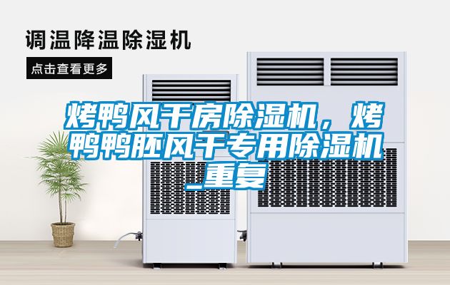 烤鴨風(fēng)干房除濕機，烤鴨鴨胚風(fēng)干專用除濕機_重復(fù)