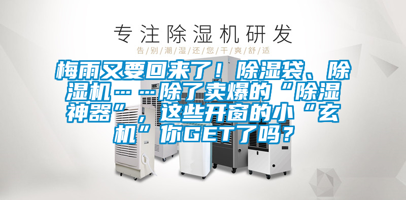 梅雨又要回來了！除濕袋、除濕機……除了賣爆的“除濕神器”，這些開窗的小“玄機”你GET了嗎？