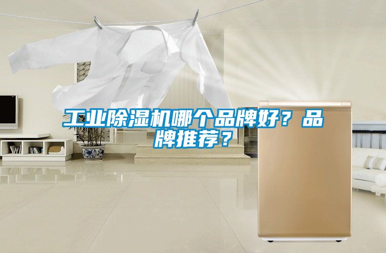 工業(yè)除濕機(jī)哪個(gè)品牌好？品牌推薦？