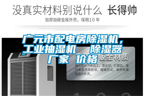 廣元市配電房除濕機，工業抽濕機  除濕器廠家 價格