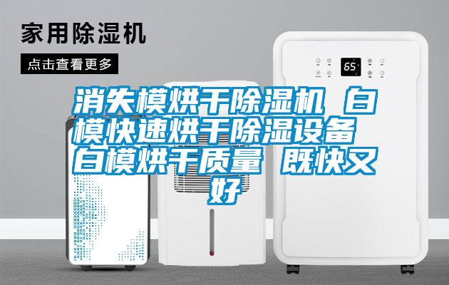 消失模烘干除濕機 白?？焖俸娓沙凉裨O備 白模烘干質量 既快又好