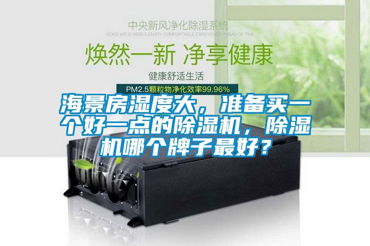 海景房濕度大，準(zhǔn)備買(mǎi)一個(gè)好一點(diǎn)的除濕機(jī)，除濕機(jī)哪個(gè)牌子最好？