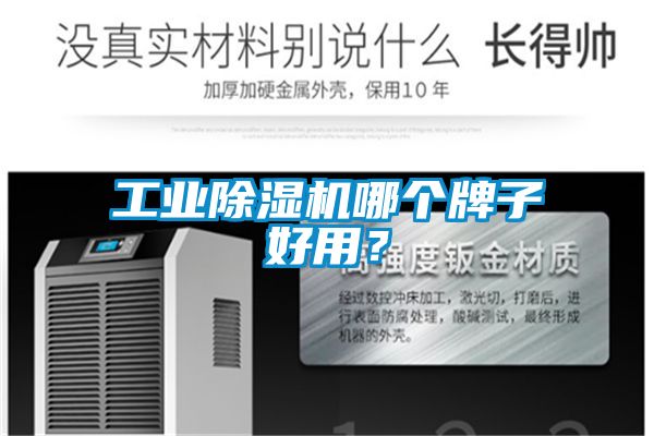 工業除濕機哪個牌子好用？