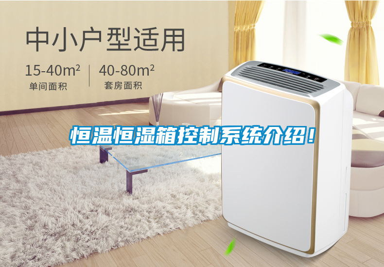 恒溫恒濕箱控制系統(tǒng)介紹！
