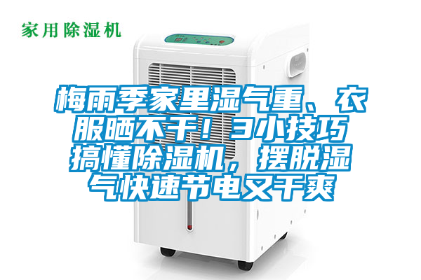 梅雨季家里濕氣重、衣服曬不干！3小技巧搞懂除濕機，擺脫濕氣快速節(jié)電又干爽