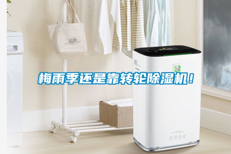 梅雨季還是靠轉輪除濕機！