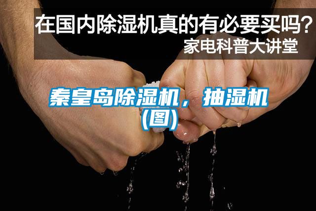 秦皇島除濕機(jī)，抽濕機(jī)(圖)