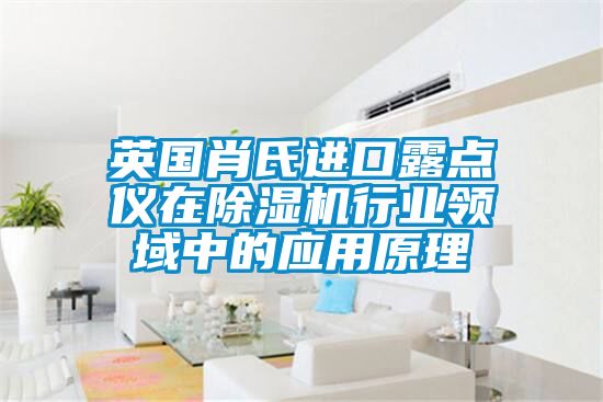 英國肖氏進(jìn)口露點儀在除濕機行業(yè)領(lǐng)域中的應(yīng)用原理