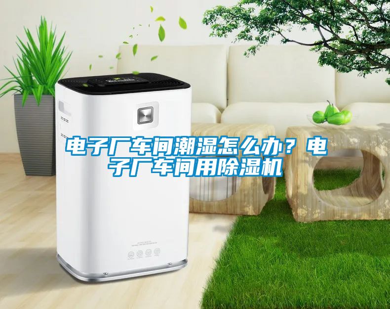 電子廠車間潮濕怎么辦？電子廠車間用除濕機