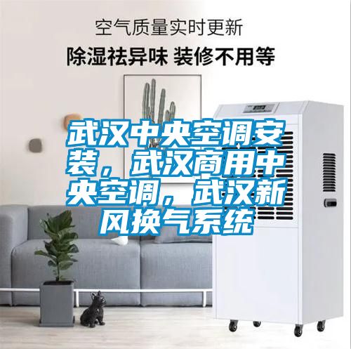 武漢中央空調安裝，武漢商用中央空調，武漢新風換氣系統