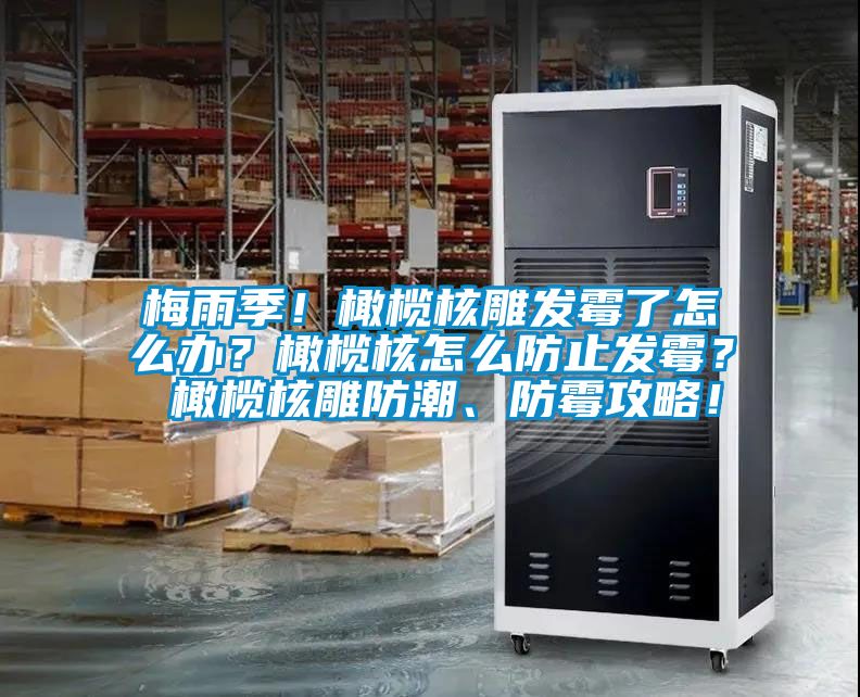 梅雨季！橄欖核雕發霉了怎么辦？橄欖核怎么防止發霉？ 橄欖核雕防潮、防霉攻略！