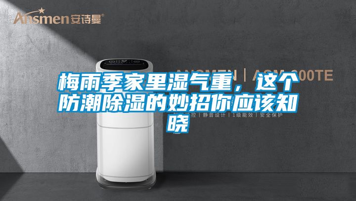 梅雨季家里濕氣重，這個防潮除濕的妙招你應該知曉