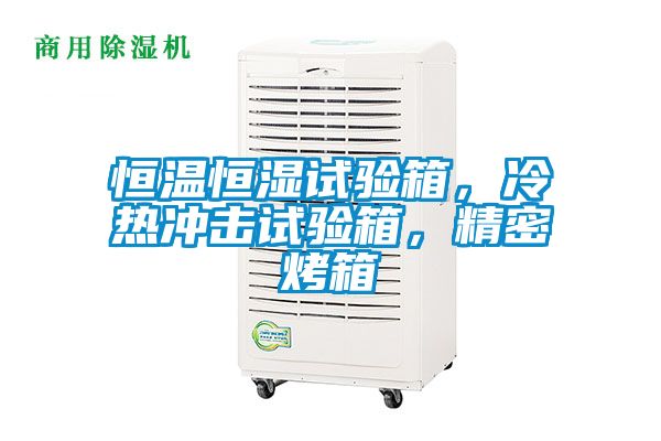 恒溫恒濕試驗箱，冷熱沖擊試驗箱，精密烤箱