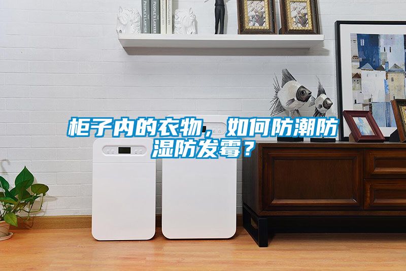 柜子內的衣物，如何防潮防濕防發霉？