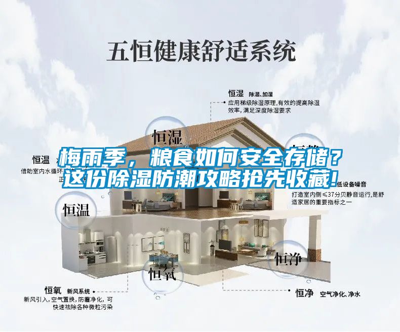 梅雨季，糧食如何安全存儲？這份除濕防潮攻略搶先收藏!
