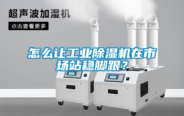 怎么讓工業(yè)除濕機在市場站穩(wěn)腳跟？