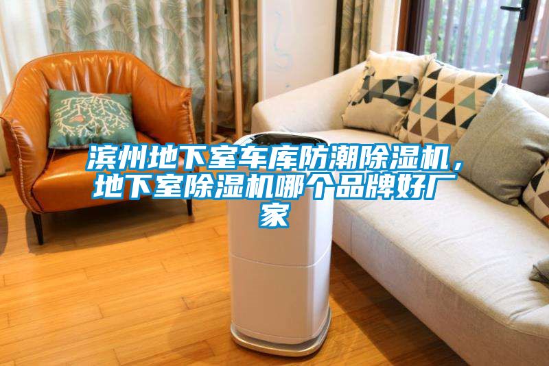 濱州地下室車庫(kù)防潮除濕機(jī)，地下室除濕機(jī)哪個(gè)品牌好廠家
