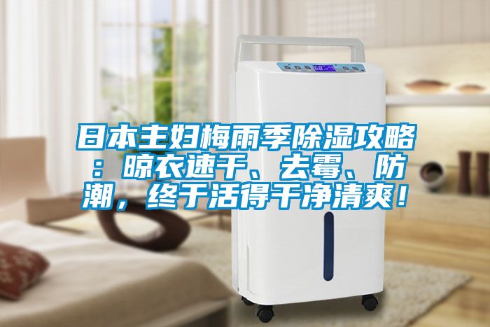 日本主婦梅雨季除濕攻略：晾衣速干、去霉、防潮，終于活得干凈清爽！