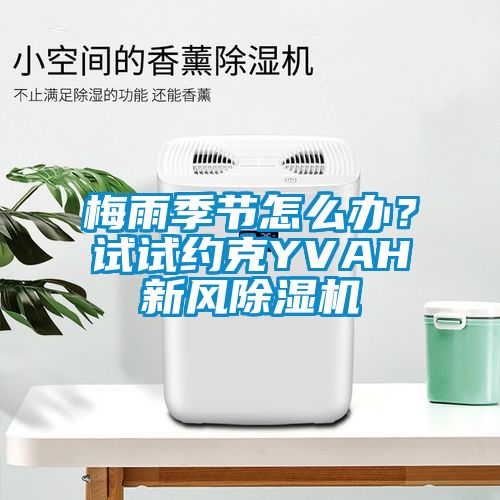 梅雨季節怎么辦？試試約克YVAH新風除濕機