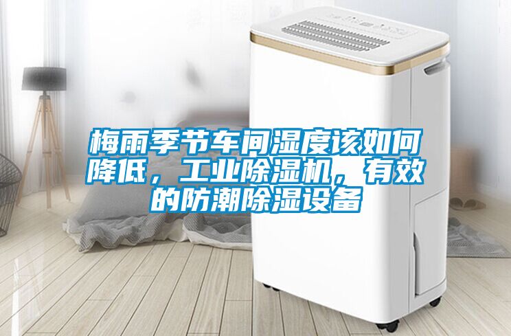 梅雨季節車間濕度該如何降低，工業除濕機，有效的防潮除濕設備