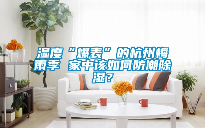 濕度“爆表”的杭州梅雨季 家中該如何防潮除濕？