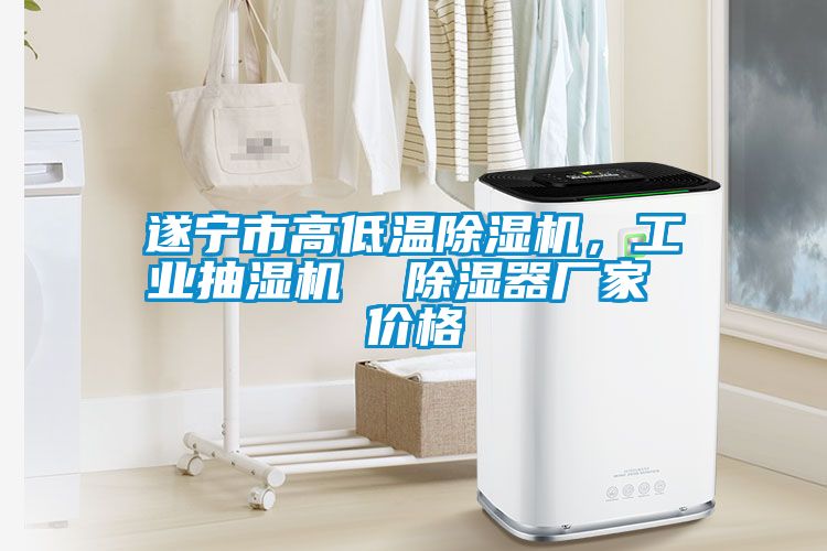 遂寧市高低溫除濕機，工業(yè)抽濕機  除濕器廠家 價格