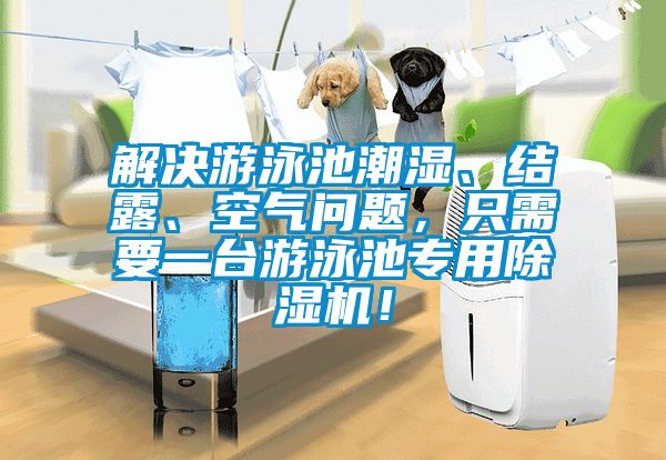 解決游泳池潮濕、結露、空氣問題，只需要一臺游泳池專用除濕機！