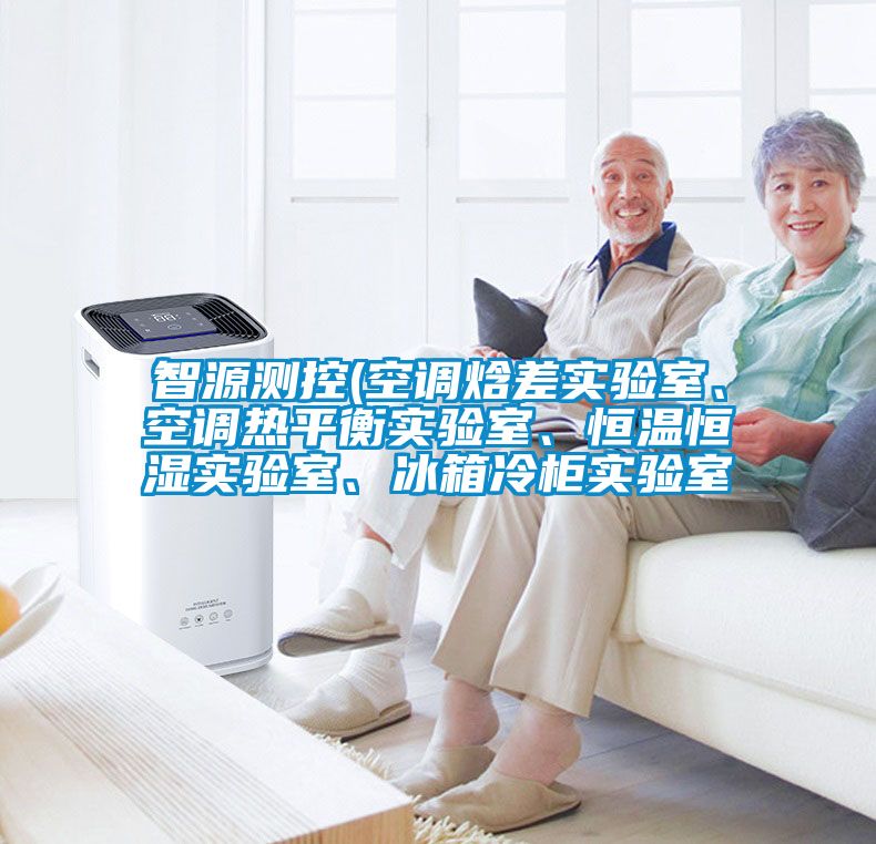 智源測控(空調(diào)焓差實(shí)驗室、空調(diào)熱平衡實(shí)驗室、恒溫恒濕實(shí)驗室、冰箱冷柜實(shí)驗室