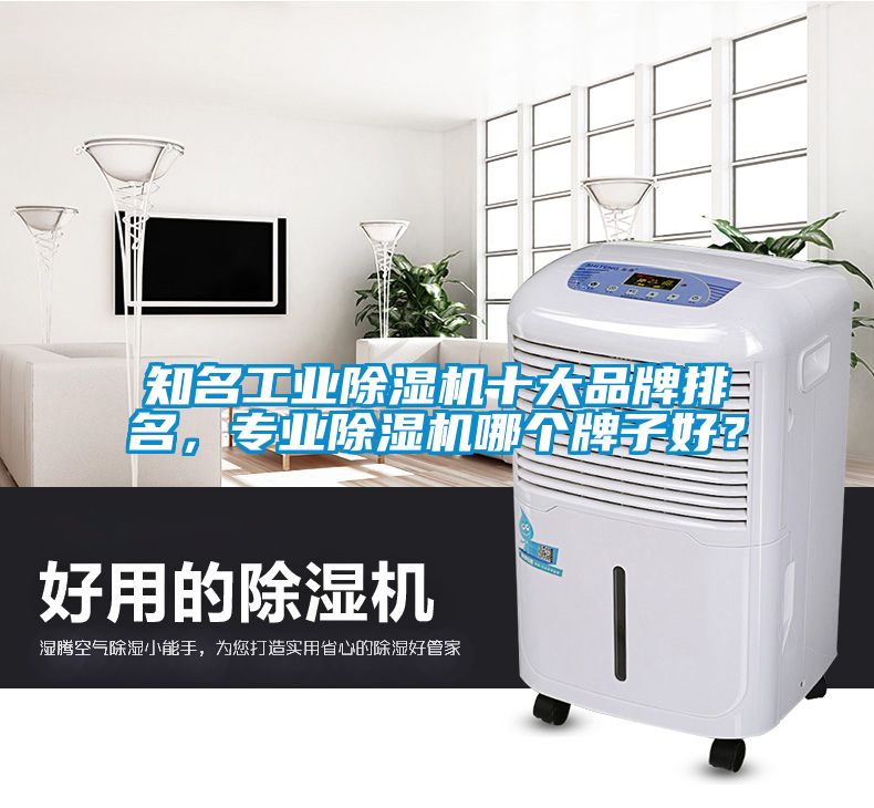 知名工業(yè)除濕機(jī)十大品牌排名，專業(yè)除濕機(jī)哪個(gè)牌子好？