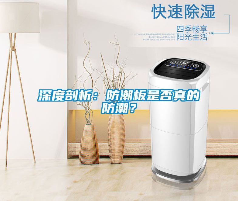 深度剖析：防潮板是否真的防潮？