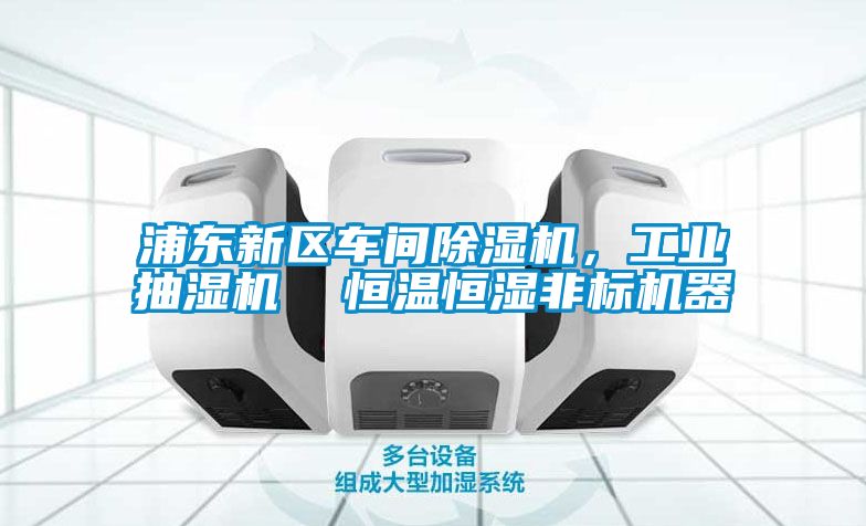 浦東新區(qū)車間除濕機(jī)，工業(yè)抽濕機(jī)  恒溫恒濕非標(biāo)機(jī)器