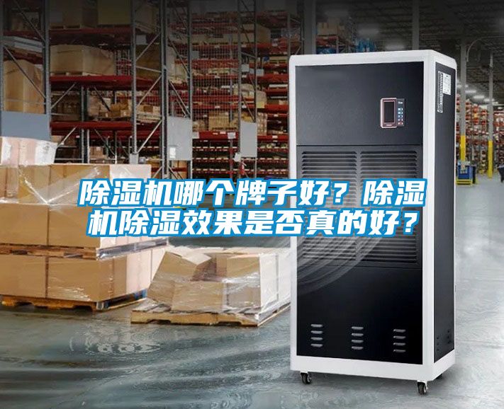 除濕機哪個牌子好？除濕機除濕效果是否真的好？
