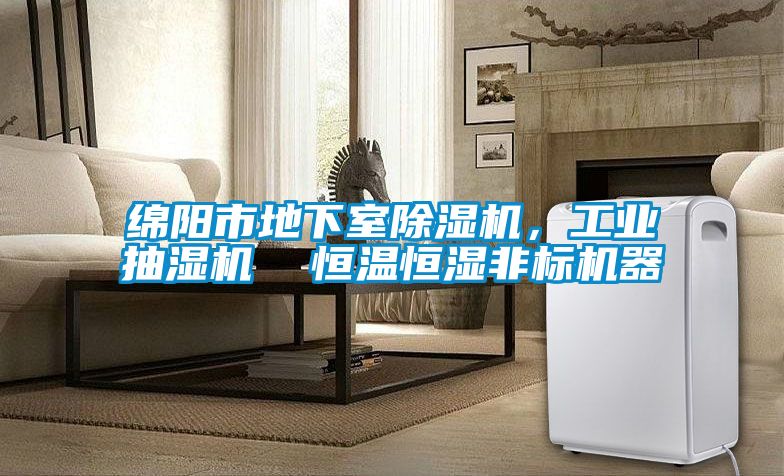 綿陽市地下室除濕機，工業抽濕機  恒溫恒濕非標機器