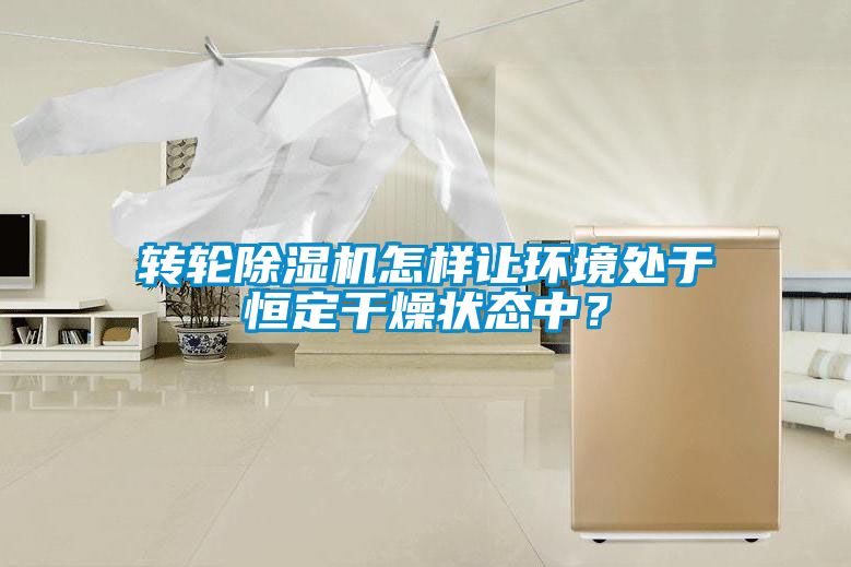 轉(zhuǎn)輪除濕機(jī)怎樣讓環(huán)境處于恒定干燥狀態(tài)中？