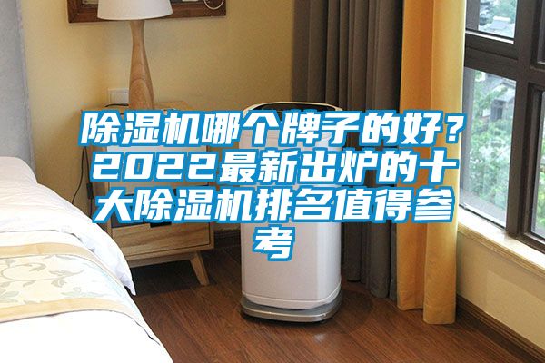 除濕機(jī)哪個牌子的好？2022最新出爐的十大除濕機(jī)排名值得參考