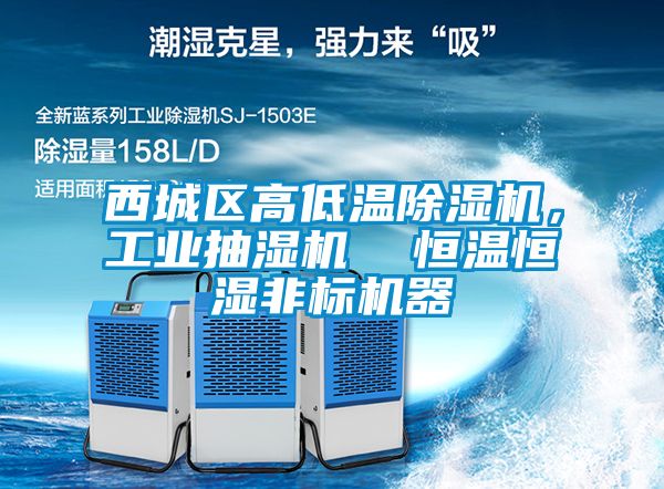 西城區高低溫除濕機，工業抽濕機  恒溫恒濕非標機器