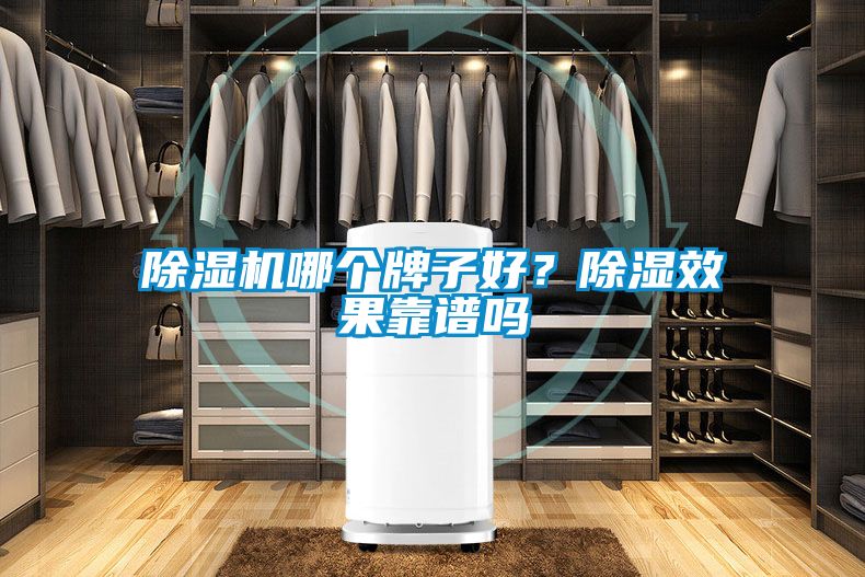 除濕機哪個牌子好？除濕效果靠譜嗎