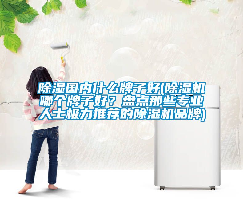 除濕國內什么牌子好(除濕機哪個牌子好？盤點那些專業人士極力推薦的除濕機品牌)