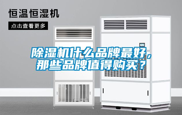 除濕機什么品牌最好，那些品牌值得購買？