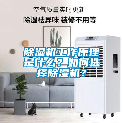 除濕機(jī)工作原理是什么？如何選擇除濕機(jī)？