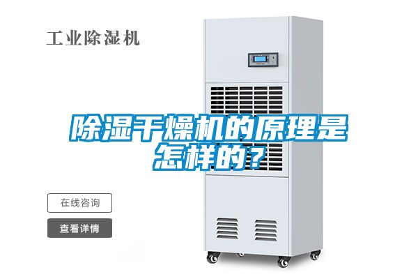 除濕干燥機的原理是怎樣的？